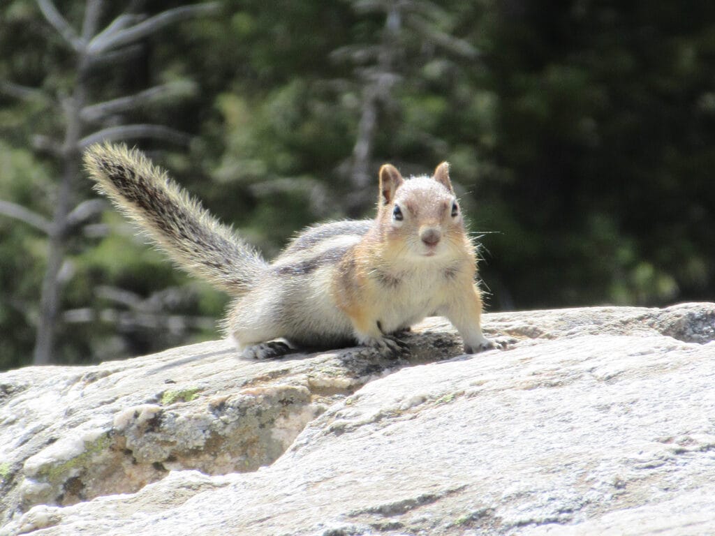 Photo by Ethan O.